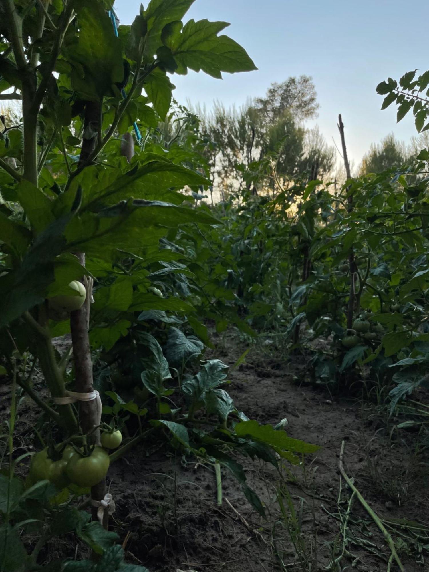 Agroturizem Eldi Hotel Fier Bagian luar foto