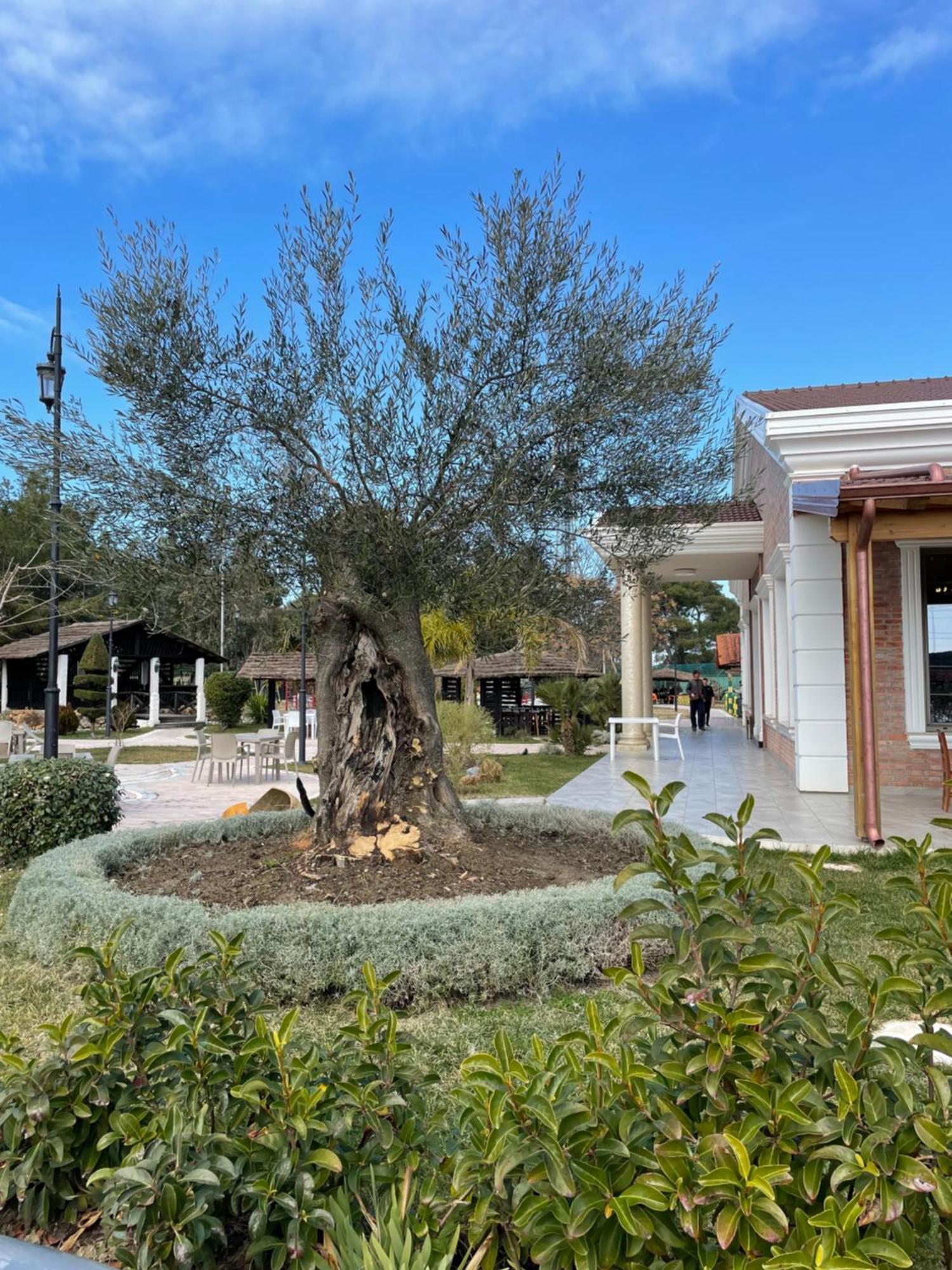 Agroturizem Eldi Hotel Fier Bagian luar foto