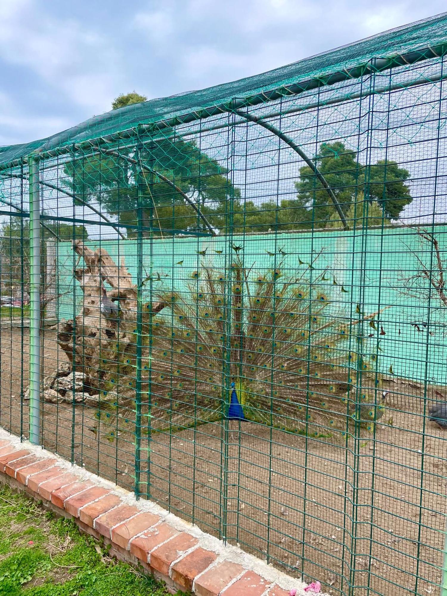 Agroturizem Eldi Hotel Fier Bagian luar foto